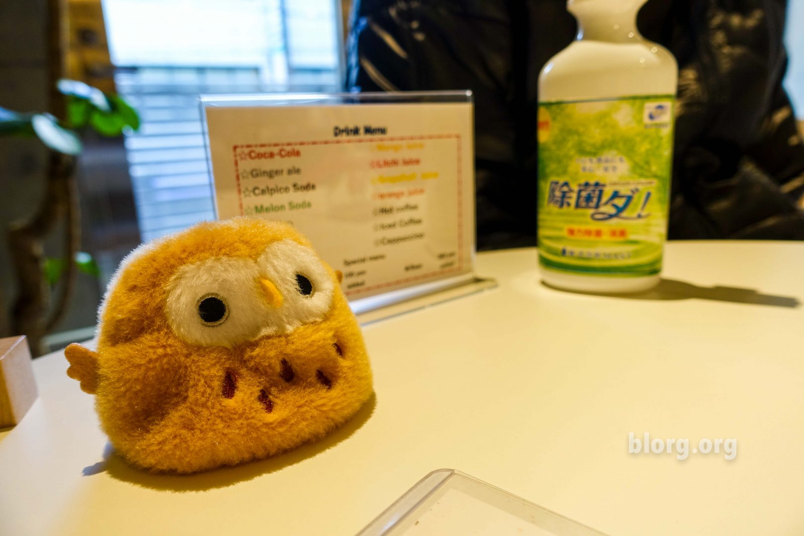 Owl cafe Japan