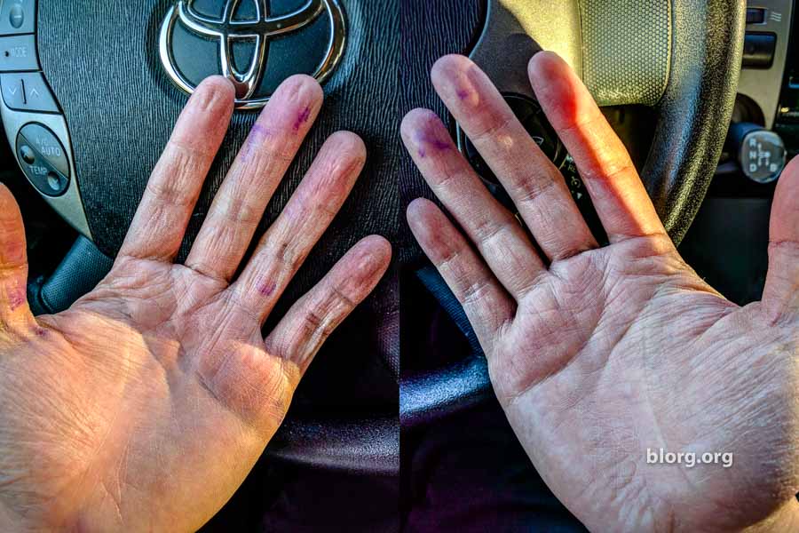 hands of a dishwasher