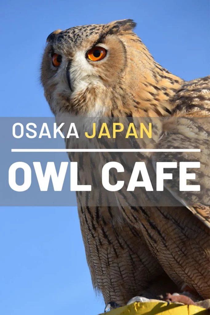 Bird Cafe, Osaka, Japan